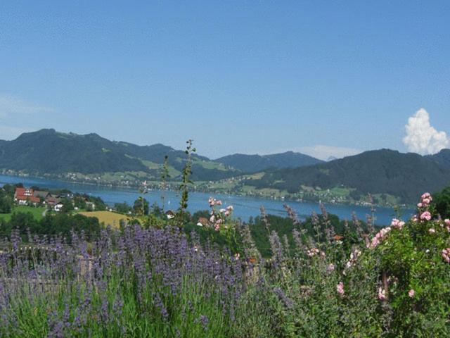 Pension Seeblick Attersee Экстерьер фото