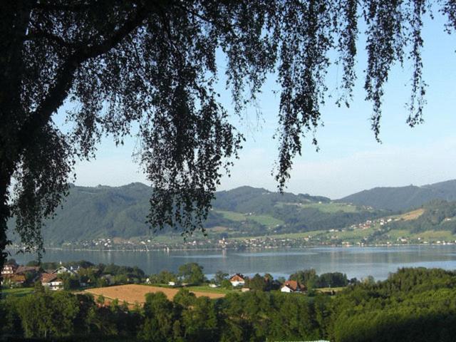 Pension Seeblick Attersee Экстерьер фото